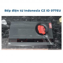 Bếp điện từ Indonesia CZ ID 077EU