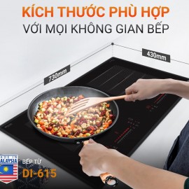 BẾP TỪ DI-615