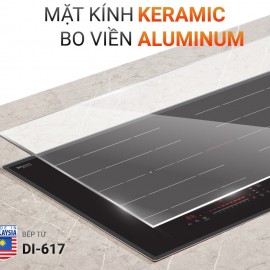 BẾP TỪ DI-617