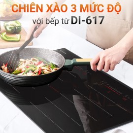 BẾP TỪ DI-617